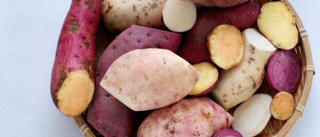 camote y yuca son lo mismo comparacion de propiedades 1 - ¿Camote y yuca son lo mismo? Comparación de propiedades