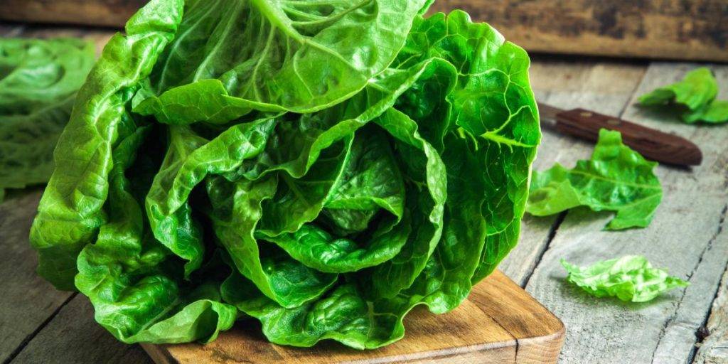 descubre los 10 beneficios de la lechuga para tu salud - Descubre los 10 beneficios de la lechuga para tu salud