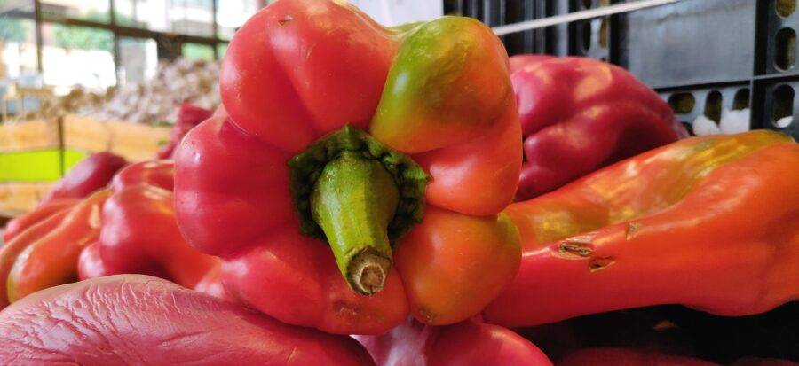 descubre los beneficios del pimiento morron rojo - Descubre los beneficios del pimiento morrón rojo