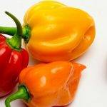 Descubre los beneficios y propiedades del chile habanero