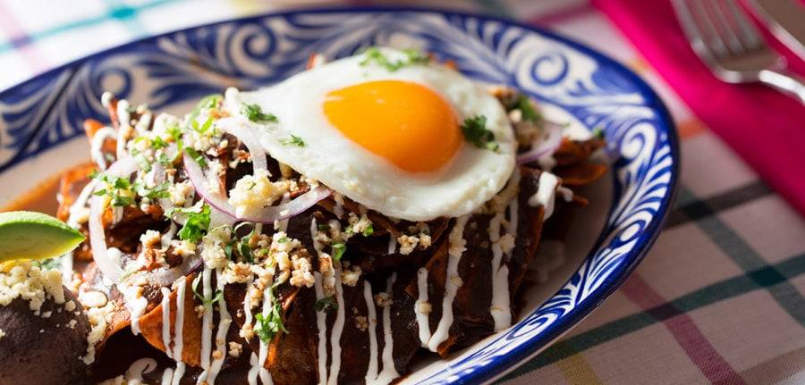 descubre los deliciosos chilaquiles toluquenos - ¿Descubre los deliciosos chilaquiles toluqueños?