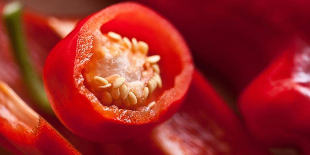 descubre que es la paprika y para que sirve guia completa 1 - Descubre qué es la paprika y para qué sirve: guía completa