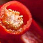 Descubre qué es la paprika y para qué sirve: guía completa