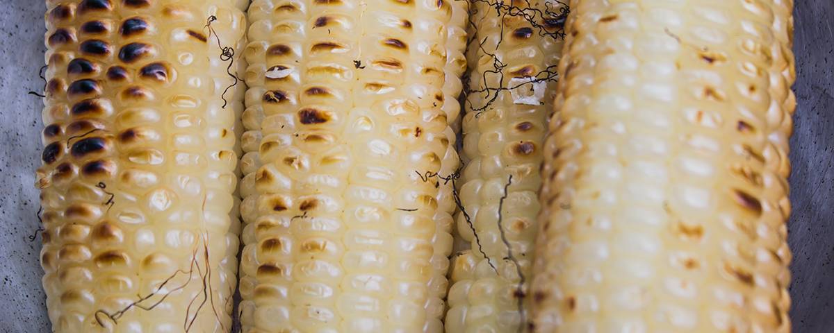 elotes con papas la combinacion perfecta - ¿Elotes con papas, la combinación perfecta mexicana?