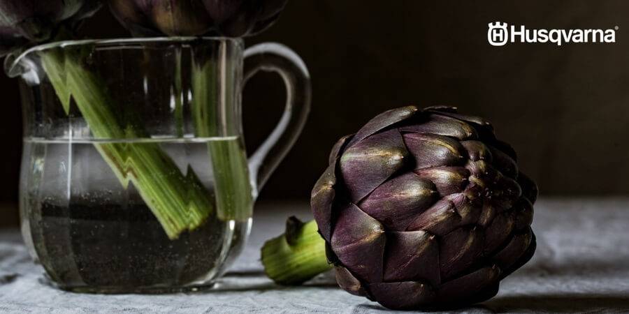 por que el jugo de alcachofa es tan poderoso - ¿Por qué el jugo de alcachofa es tan poderoso?