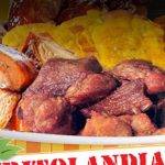 ¿Quieres probar las deliciosas carnitas de pollo?