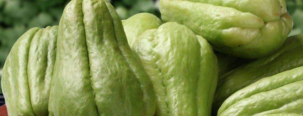 tiempo de coccion del chayote consejos y preparacion 1 - Tiempo de cocción del chayote: consejos y preparación