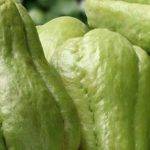 Tiempo de cocción del chayote: consejos y preparación